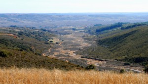 Transición montaña-páramo