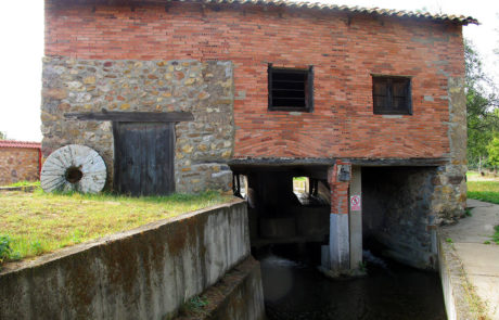 25305-Presas-y-molinos-La-Seca