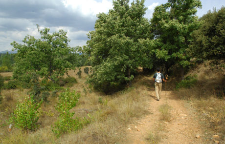 33008-Camino-de-San-Salvador-Cabanillas