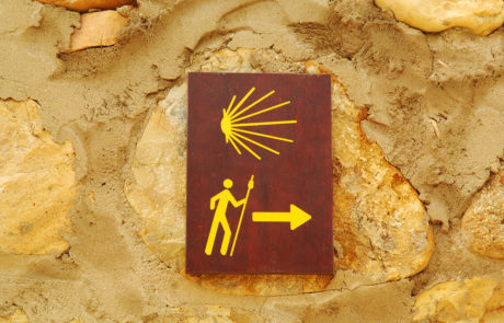 33010-Camino-de-San-Salvador-Cabanillas