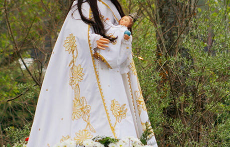 51007-Rogativa-de-Camposagrado