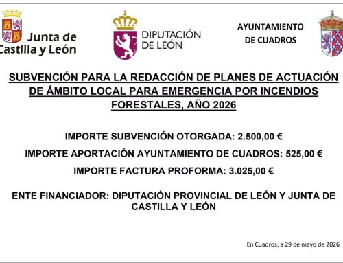 Subvención para planes de emergencia por incendios forestales 2026